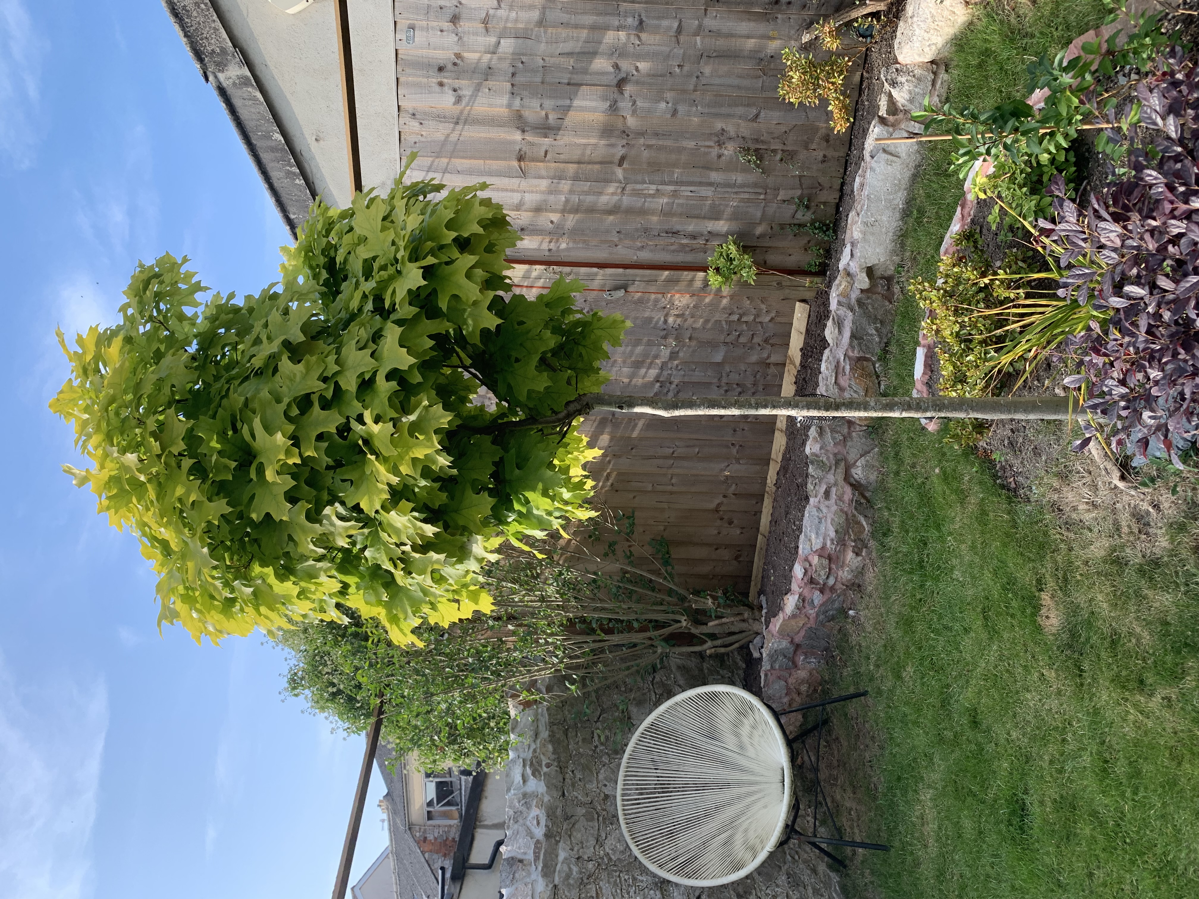 IMG_7351.jpeg