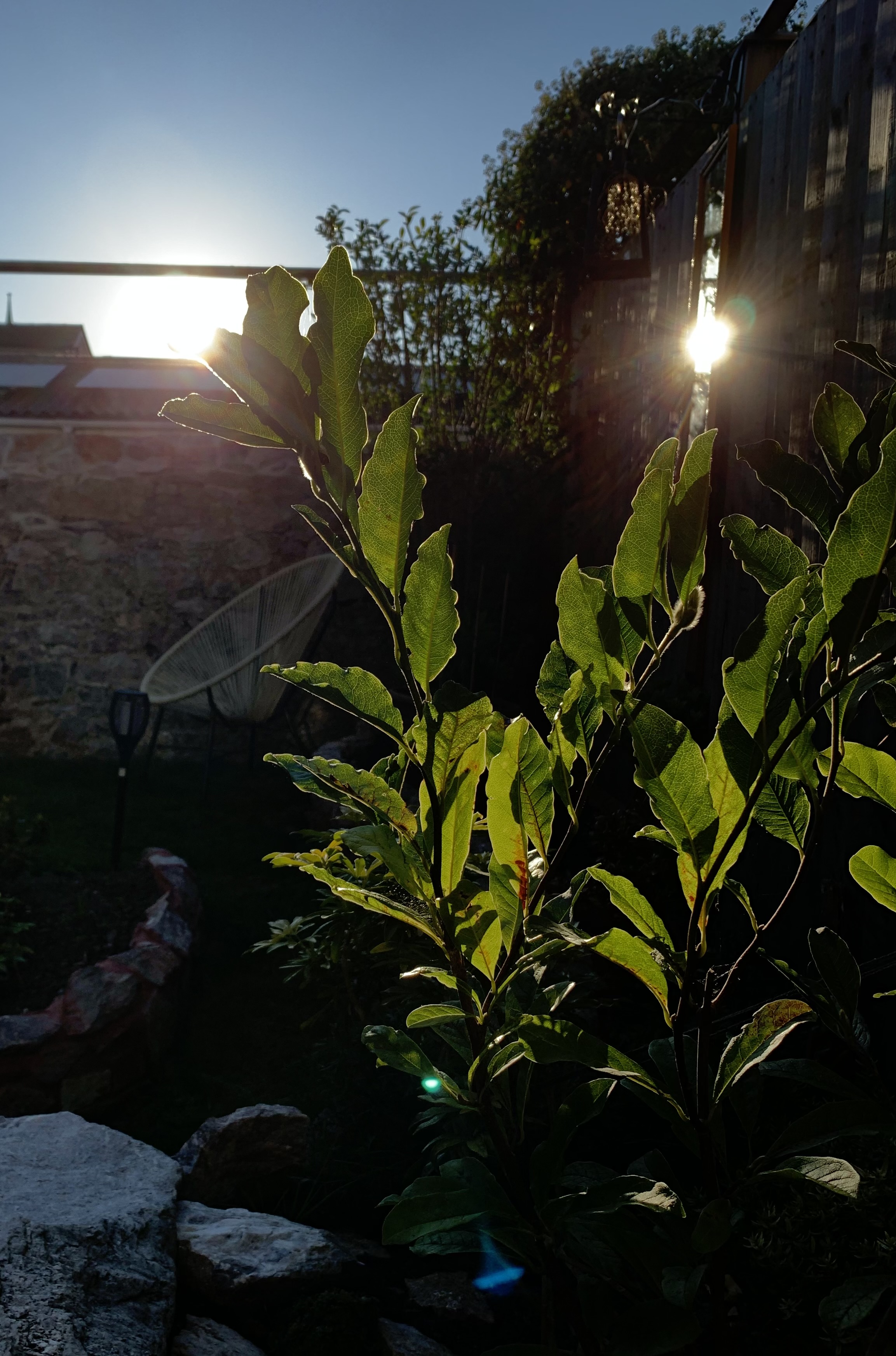 IMG_7375.jpeg