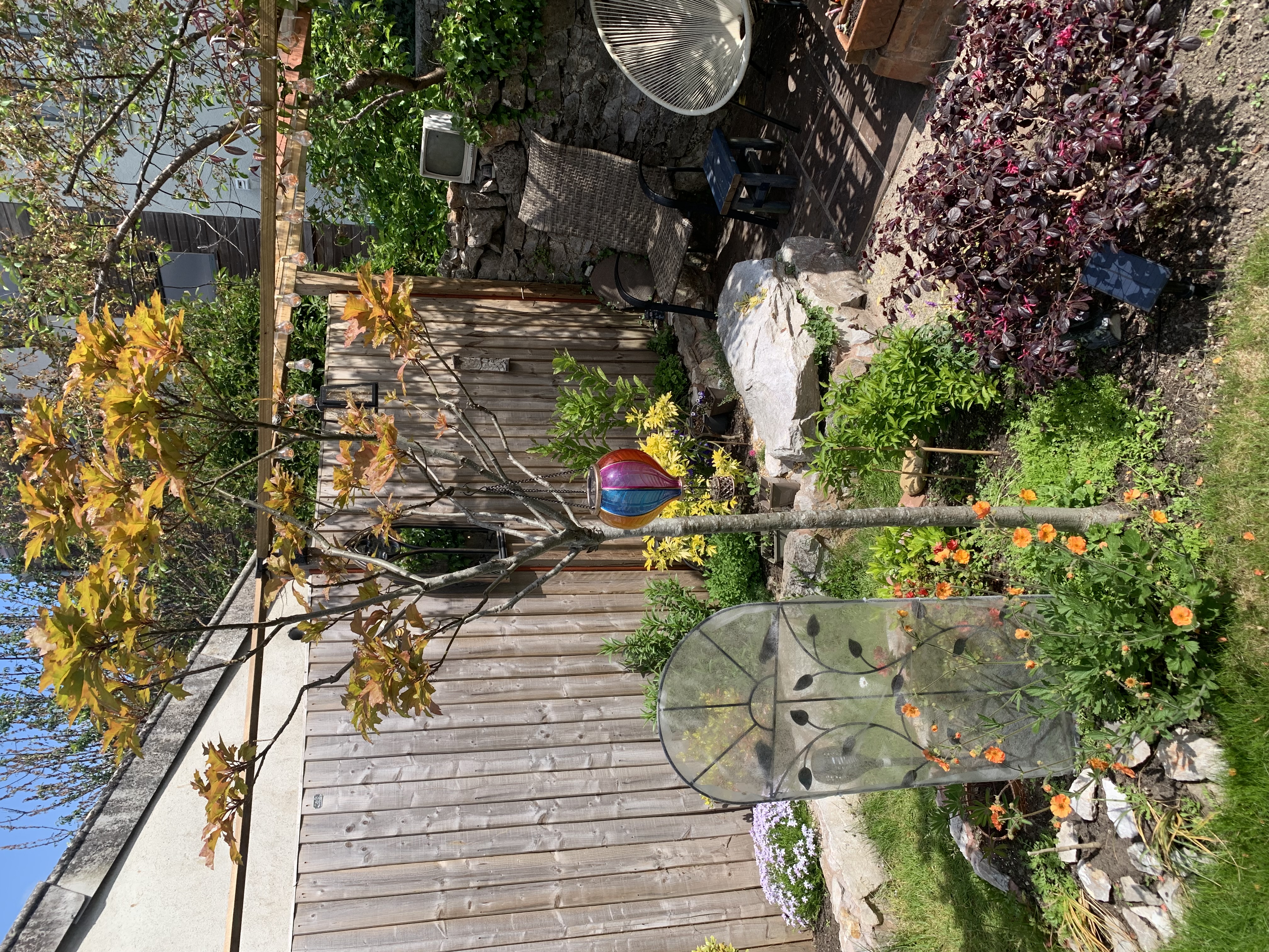 IMG_7687.jpeg